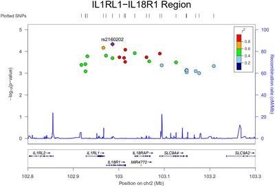 Functional Genetic Polymorphisms in the IL1RL1–IL18R1 Region Confer Risk for Ocular Behçet’s Disease in a Chinese Han Population